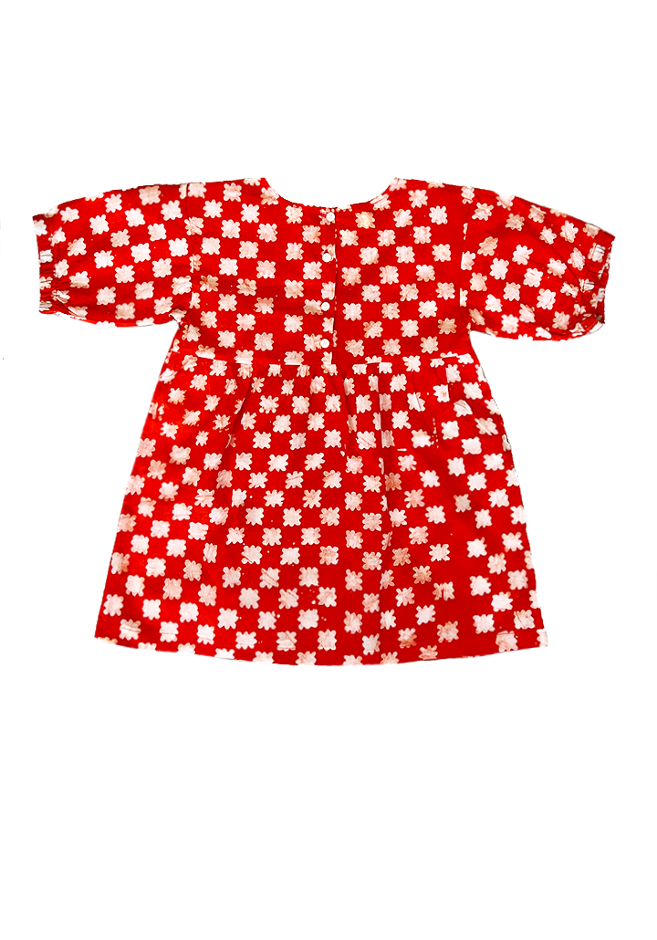 ELLA Dress / Red Floral Check