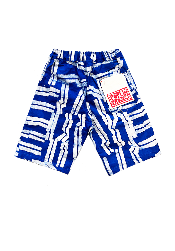 TAVIN Shorts / Blue Directions