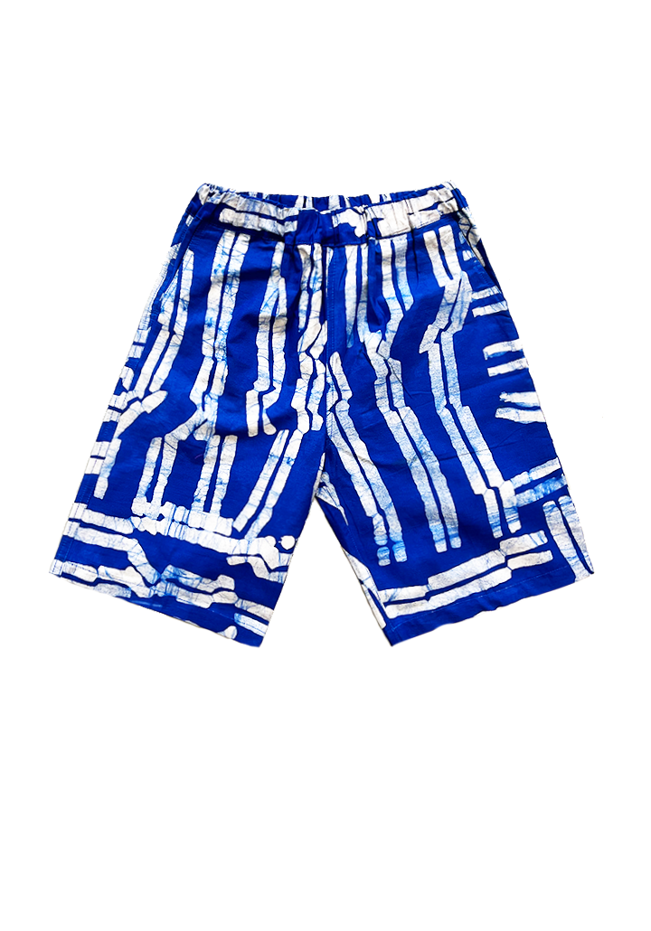 TAVIN Shorts / Blue Directions