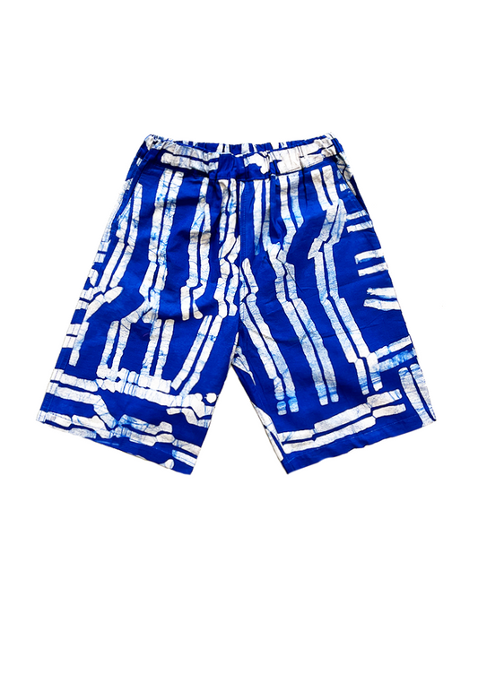 TAVIN Shorts / Blue Directions