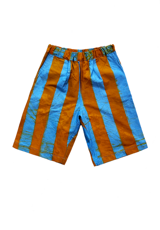 TAVIN Shorts / Bronze Stripes